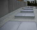 IMG_7145.JPG